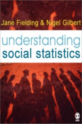 Kniha Understanding Social Statistics Jane Fielding