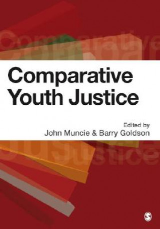 Könyv Comparative Youth Justice John Muncie