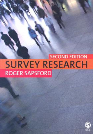 Kniha Survey Research R J Sapsford
