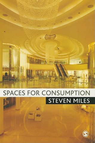 Knjiga Spaces for Consumption Steven Miles