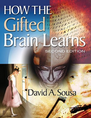 Buch How the Gifted Brain Learns David Sousa