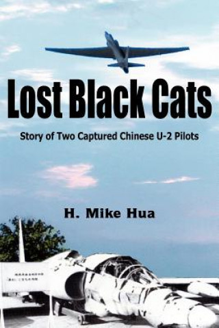 Книга Lost Black Cats Hua H. Mike