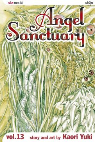 Kniha Angel Sanctuary, Vol. 13 Kaori Yuki