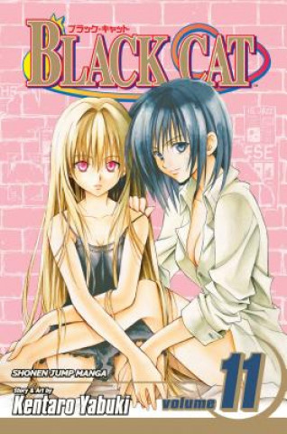 Book Black Cat, Vol. 11 Kentaro Yabuki