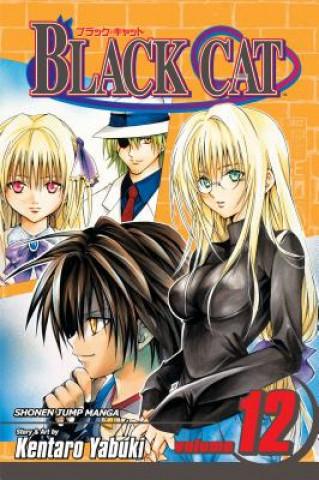 Libro Black Cat, Vol. 12 Kentaro Yabuki