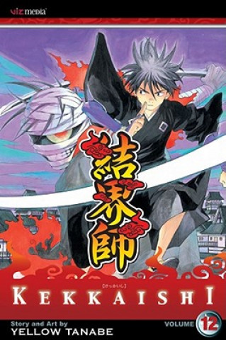 Kniha Kekkaishi, Vol. 12 Yellow Tanabe