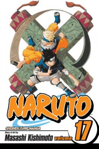 Kniha Naruto, Vol. 17 Masashi Kishimoto