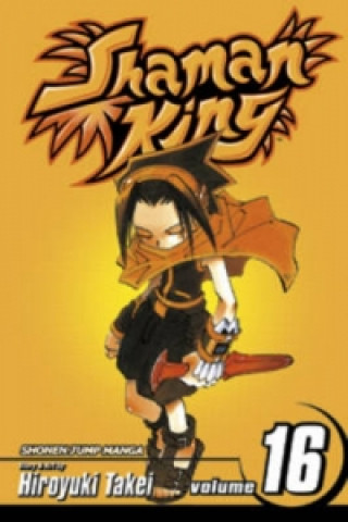 Książka Shaman King, Vol. 17 Hiroyuki Takei