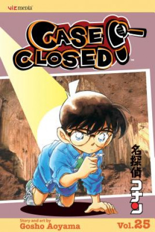 Carte Case Closed, Vol. 25 Gosho Aoyama