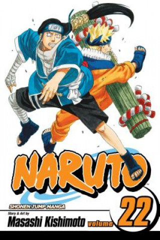 Kniha Naruto, Vol. 22 Masashi Kishimoto