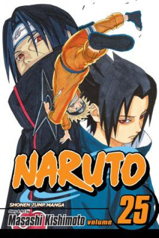 Book Naruto, Vol. 25 Masashi Kishimoto