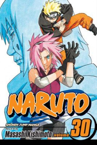 Kniha Naruto, Vol. 30 Masashi Kishimoto