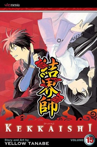 Buch Kekkaishi, Vol. 15 Yellow Tanabe