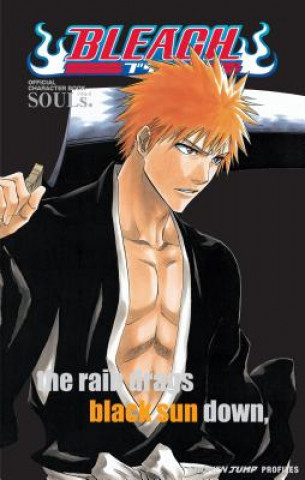 Book Bleach SOULs. Official Character Book Tite Kubo