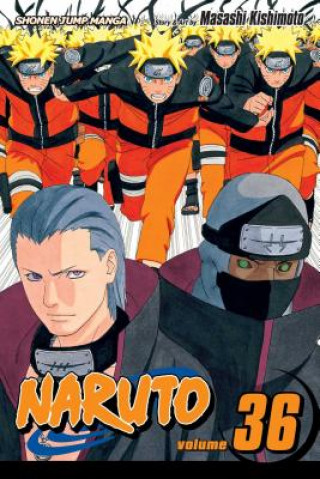 Kniha Naruto, Vol. 36 Masashi Kishimoto
