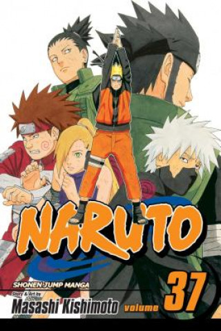 Книга Naruto, Vol. 37 Masashi Kishimoto