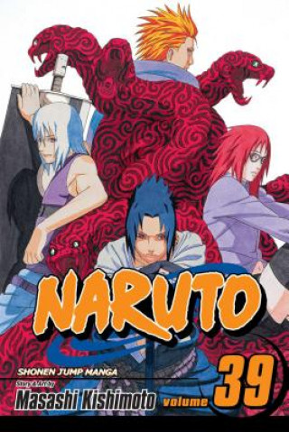 Kniha Naruto, Vol. 39 Masashi Kishimoto