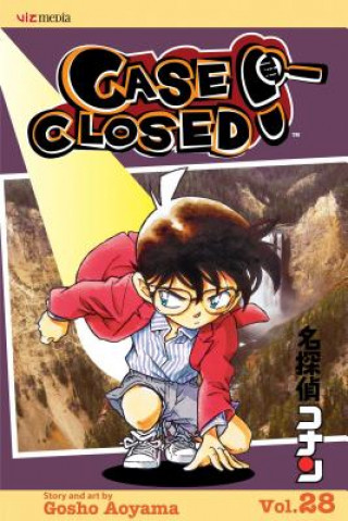 Carte Case Closed, Vol. 28 Gosho Aoyama