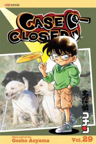 Kniha Case Closed, Vol. 29 Gosho Aoyama