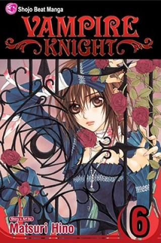 Kniha Vampire Knight, Vol. 6 Matsuri Hino