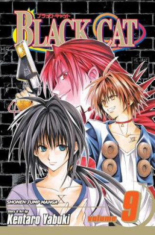 Buch Black Cat, Vol. 19 Kentaro Yabuki