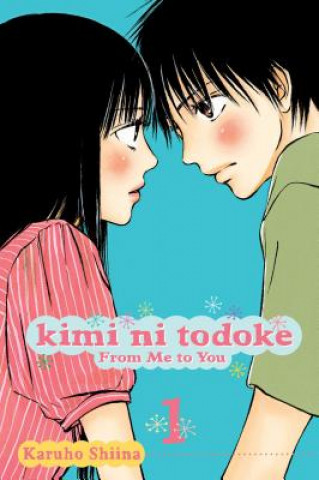 Kniha Kimi ni Todoke: From Me to You, Vol. 1 Karuho Shiina