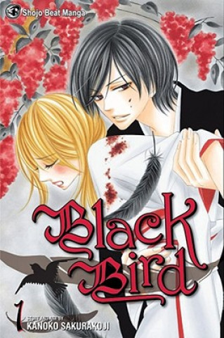 Kniha Black Bird, Vol. 1 Kanoko Sakurakoji