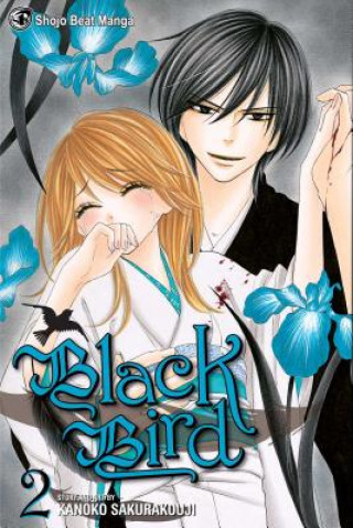 Kniha Black Bird, Vol. 2 Kanoko Sakurakoji