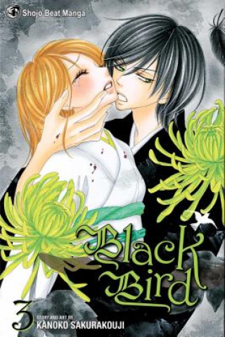 Kniha Black Bird, Vol. 3 Kanoko Sakurakoji