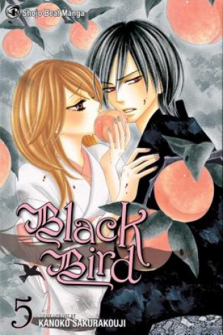Kniha Black Bird, Vol. 5 Kanolo Sakurakoji