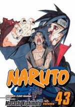 Könyv Naruto, Vol. 43 Masashi Kishimoto