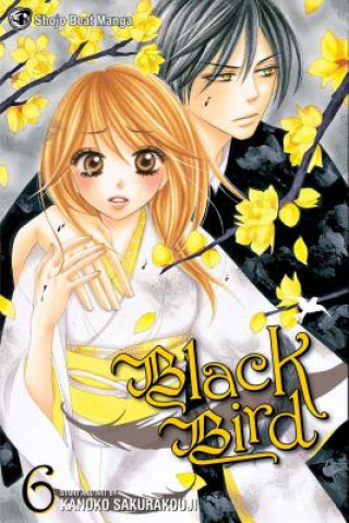 Kniha Black Bird, Vol. 6 Kanoko Sakurakoji
