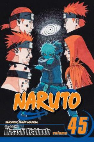 Könyv Naruto, Vol. 45 Masashi Kishimoto
