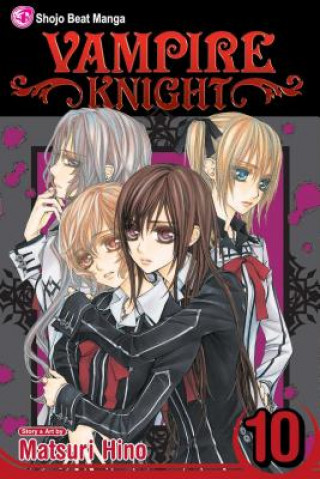 Könyv Vampire Knight, Vol. 10 Matsuri Hino