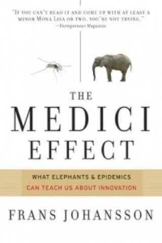 Buch Medici Effect Johansson