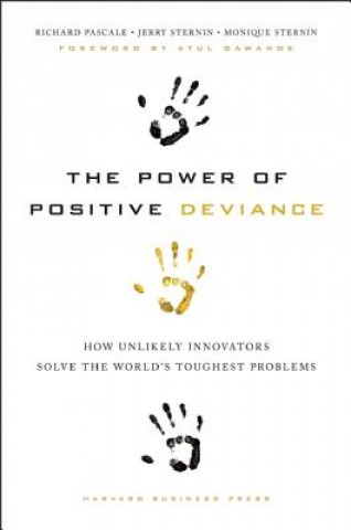 Könyv Power of Positive Deviance Richard Pascale