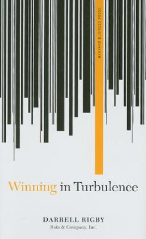Kniha Winning in Turbulence Darrell Rigby