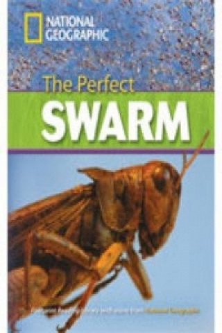 Książka Perfect Swarm Rob Waring