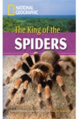 Könyv The King of the Spiders, m. 1 Beilage Rob Waring