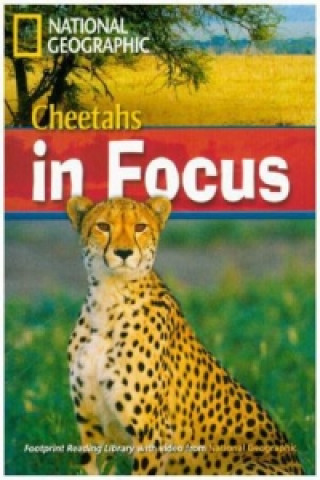 Carte Cheetah Chase! Rob Waring