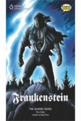 Kniha Frankenstein (British English): Classic Graphic Novel Collec VINEY