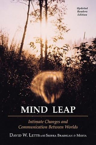 Carte Mind Leap David W. Letts