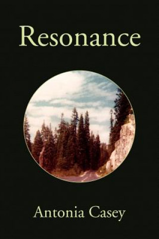 Buch Resonance Antonia Casey