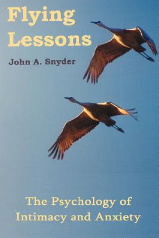 Kniha Flying Lessons John A. Snyder