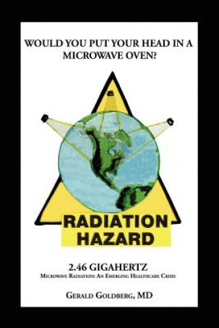 Knjiga Would You Put Your Head in a Microwave Oven Gerald Goldberg MD