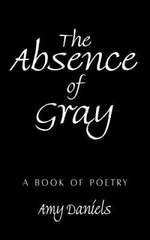 Kniha Absence of Gray Amy Daniels