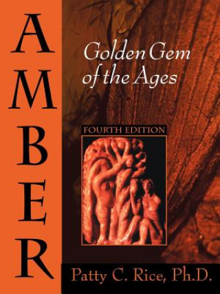 Βιβλίο Amber Patty