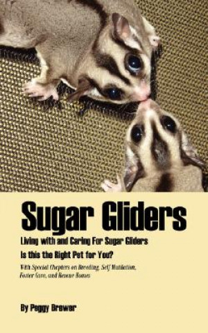 Kniha Sugar Gliders Peggy Brewer