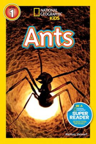 Book Ants Melissa Stewart