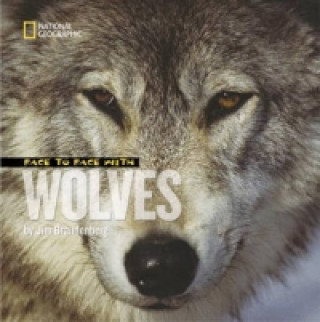 Książka Face to Face with Wolves Jim Brandenburg